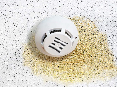 Patriot Builders Group Images